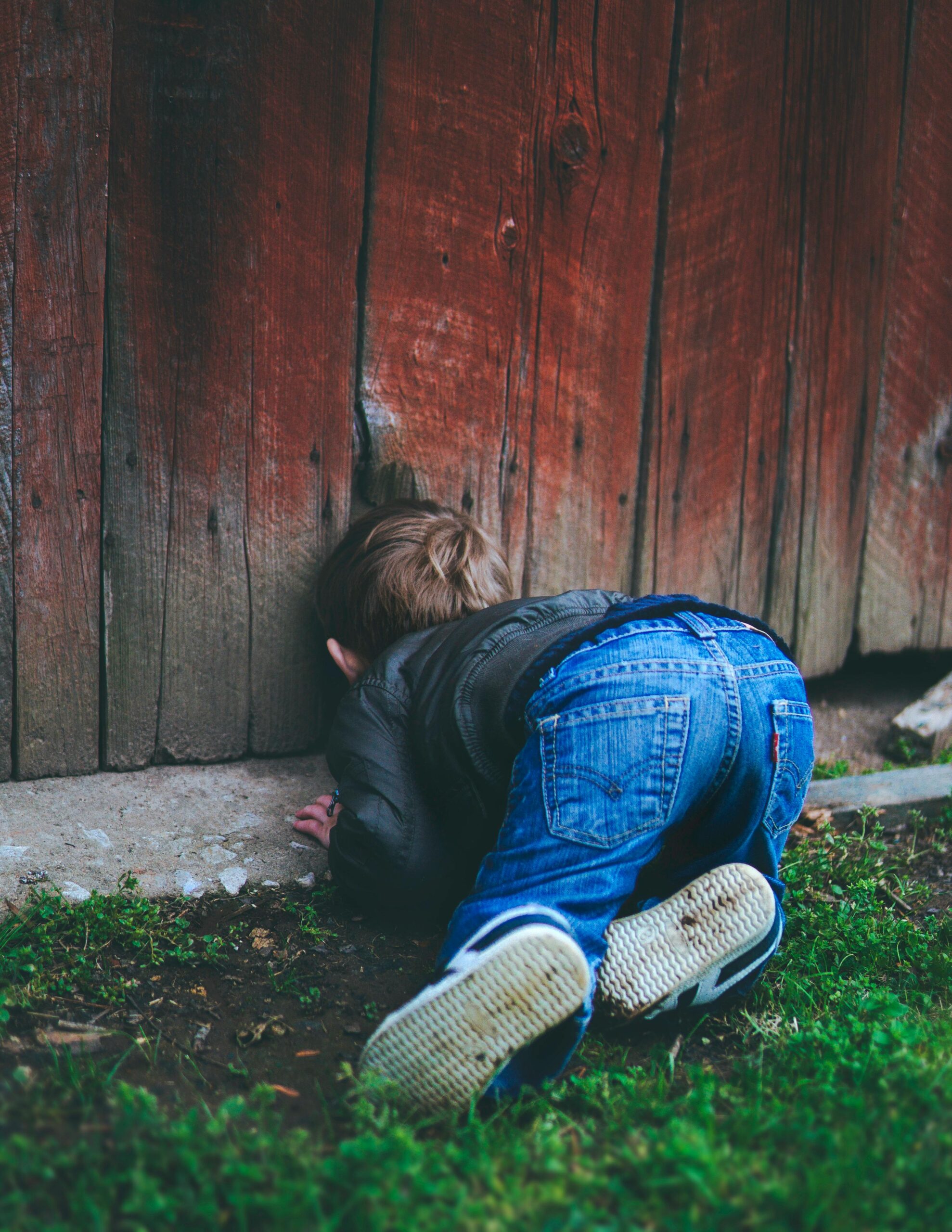 Young boy peeking through a rustic wooden fence on a sunny day.